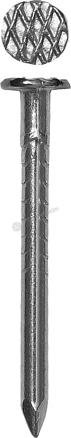 Фотография Гвозди 4-305031-25-050 ЗУБР оцинкованные строительные по дереву/листовому металлу, 2,5х50мм, ТФ1, 45