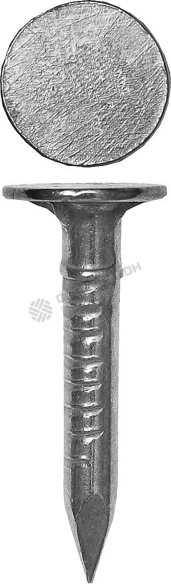 Фотография Гвозди 4-305091-40-100 ЗУБР оцинкованные с большой потайной головкой, по дереву/листовому металлу, 4