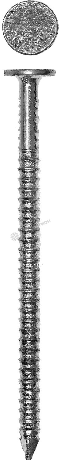 Фотография Гвозди 4-305201-42-070 ЗУБР ершеные оцинкованные с плоской головкой по дереву, 4,2х70мм, ТФ1, 150шт