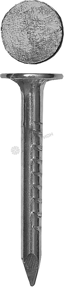 Фотография  Гвозди 4-305216-30-040 ЗУБР толевые оцинкованные, по дереву/листовому металлу, рубероиду, 3,0х40мм,