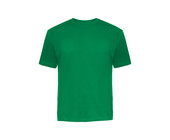 Футболка мужская Спецрегион цвет зелёный